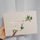 선데이민화