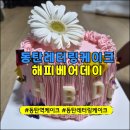 달콤케이크플라워 | 동탄역레터링케이크 해피베어데이, 감동 가득했던 플라워 케이크 주문 제작후기