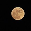 moon 이미지