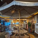 호프광장 | 대관령 야장 맛집, 올리브 호프광장 내돈내산 솔직후기