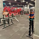 해머 플러스 | 구청역 헬스장 추천 휘트니스엠 강남구청점 시설 총정리 솔직 방문 후기 (해머 스트렝스· GDR ·반신욕)