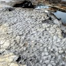 진주 유수리 백악기 화석산지 이미지