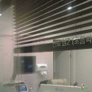 동물병원루니 이미지