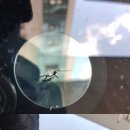 광진차유리 이미지