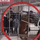 성의농장 2 이미지