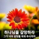 효령로 59-7 이미지