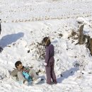 윗자모리 이미지