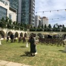 라움미샤