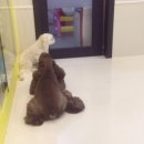 현동물병원 이미지