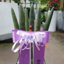 광양백운장례식장 이미지