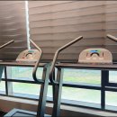 바이브먼트 이미지