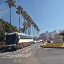 제주바당 | 제주 신라호텔 바당 - 딸기빙수 내돈내산 후기