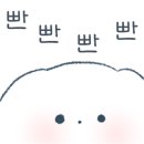 삐삐애견 이미지