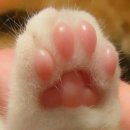 말랑말랑 이미지