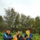 김진오농장 이미지