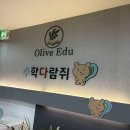 올리브학원 | 대치동초등사고력수학 잘하는 곳 올리브에듀학원 후기