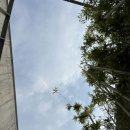 지중서원 이미지