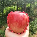 오복농장 이미지