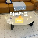 여름 거실 시원한 러그 추천 · 노미아 러그 내돈내산 후기