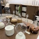 금강밧데리 | 2026 서울리빙디자인페어 코엑스 C홀 개인 취향 담은 부스 추천 후기