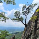 제337차 곡성 동악산(해발735m)&하늘정원 산수국(7월21일 셋째일요일) 이미지