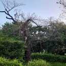 가야누리길을 걷다 이미지