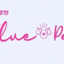 블루펫스토어