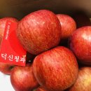 아삭아삭청과유통 이미지