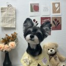 멍멍이까까 이미지