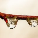 벨루체안경원 이미지