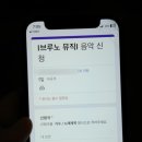 브루노뮤직 이미지