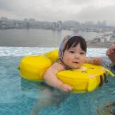 수1807 | 속초 홈마리나 호텔 후기(키즈룸 1807호, 인피니티풀, 조식)