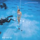 중일슈트 | 성남 아쿠아라인 프리다이빙 아이다2 자격증수료중! 연습 이용후기