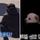 감동농장 이미지