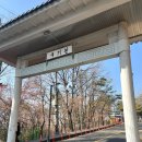 고려 태권도 체육관 | 초등학생 태권도, 2품 국기원 심사 후기 + 더 리버사이드 호텔 뷔페 더가든키친 수고했어 오늘도❤️