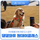 미소댕댕 | 댕댕와유 원데이클래스 반려견과 함께한 특별한 체험