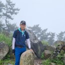 봉래산(395m) &amp; 절영해안길 태종사 수국축제 / 부산 영도 이미지