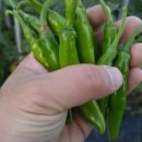 중수농장 이미지