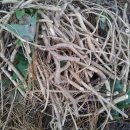 방글농장 이미지