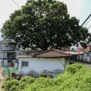 덕소2리 이미지