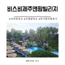 레이크앤씨빌리지 | 제주한달살기2 비스비제주앤팜빌리지 수영장 하라케케 카페 내돈내산 숙박후기
