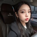 캘리스코히바린롯데부 | 직장인 일상 올해의 끝자락에서 남기는 기록들