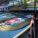 무릉도원면-15 이미지