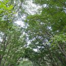 삼정야영장 화장실 이미지