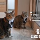 자연안마원 이미지