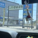 뜰채요정수족관 | 나는 과연..물생활을 시작할까? 상아쿠아 방문 후기
