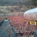 지해농장 이미지