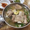 고집센그집갈비탕대구대명점