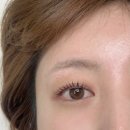 찌거바르고 | 발산역속눈썹펌 렘드뷰티 자연스러운 C컬 후기