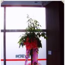 양푼이생태탕 이미지